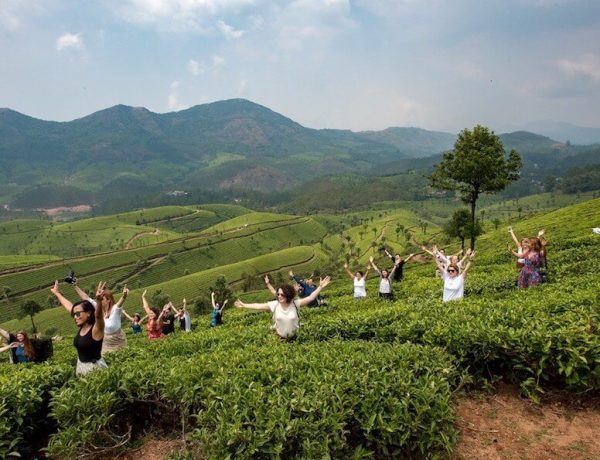 Munnar tea plantatons