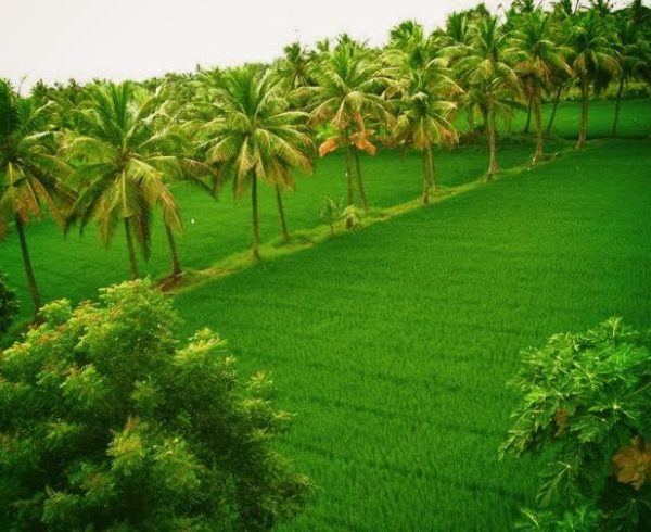 coast line of andhra