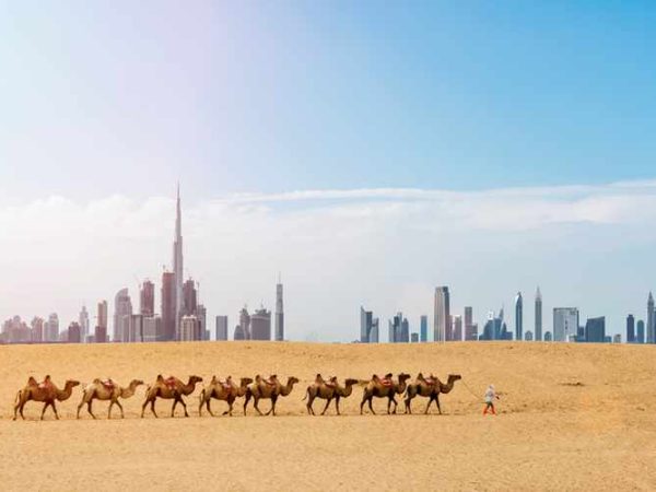 Looking along desert towards the business district